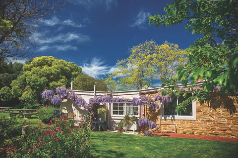 McLaren Vale Winery Small Group Tour With Wine Tasting And Lunch - Accommodation Mt Buller 2