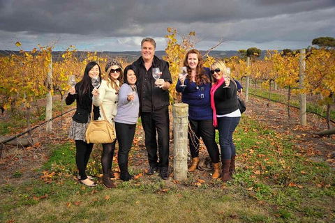 McLaren Vale Winery Small Group Tour With Wine Tasting And Lunch - Accommodation Mt Buller 3