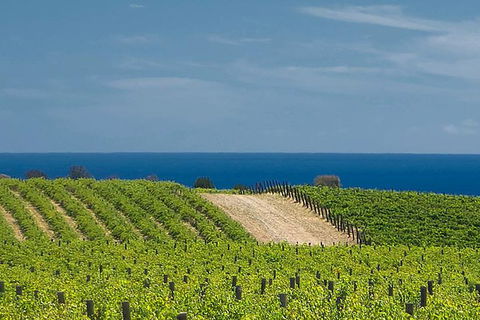 McLaren Vale Winery Small Group Tour With Wine Tasting And Lunch - Accommodation Mt Buller 4