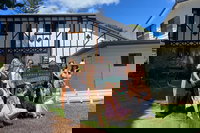 Mt Tamborine ScenicRim Deluxe Wine Tasting and Sightseeeing Tour, Brisbane