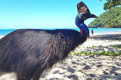 The Paronella Experience - Accommodation Mt Buller 0