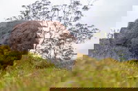 3-Day Cradle Mountain Photography Workshop, Hobart