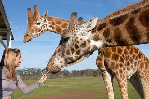 Melbourne City Card (2 Days): Visit Unlimited Attractions! - Accommodation Mt Buller 1