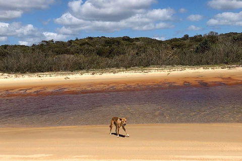 Pippies 3 Days 2 Nights Fraser Island Tour - Accommodation Mt Buller 2