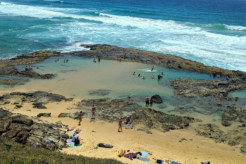 Pippies 3 Days 2 Nights Fraser Island Tour - Accommodation Mt Buller 5
