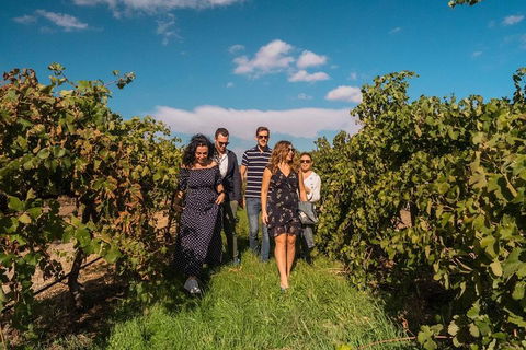 Barossa Valley Private Tour (from 2 To 11 People) - Accommodation Mt Buller 0