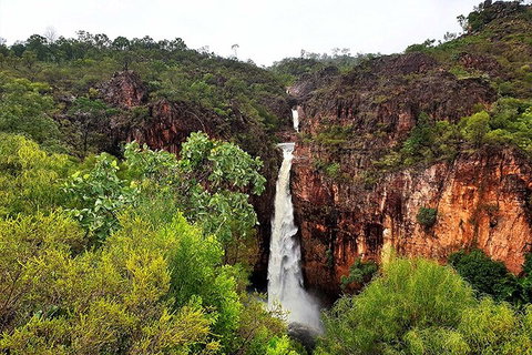Ethical Adventures - Best In The WET - Litchfield / Kakadu 3 Day- Max 10 Guests - Accommodation Mt buller 2