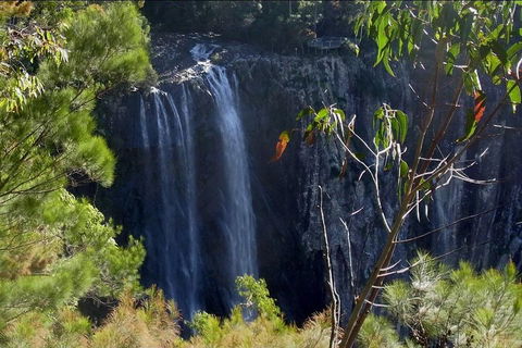 Byron Bay Hinterland Tour Including Rainforest Walk To Minyon Falls - Accommodation Mt Buller 0