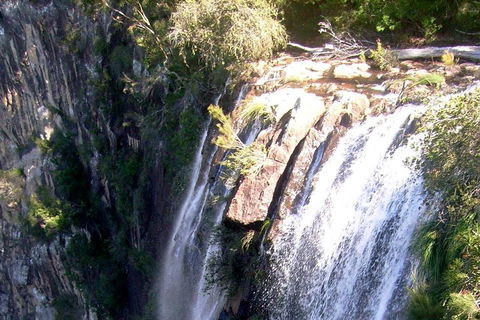 Byron Bay Combo: Hinterland Tour Including Minyon Falls And Kayaking With Dolphins - Accommodation Mt Buller 3