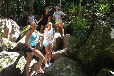 Byron Bay Combo: Hinterland Tour Including Minyon Falls And Kayaking With Dolphins - Accommodation Mt Buller 4