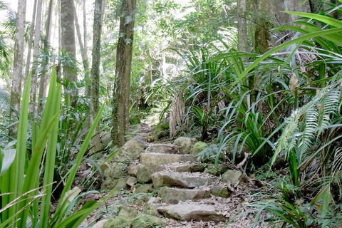 Byron Bay Combo: Hinterland Tour Including Minyon Falls And Kayaking With Dolphins - Accommodation Mt Buller 5