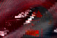 Dracula's Cabaret - Gold Coast, Brisbane