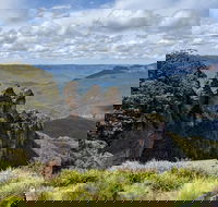 Blue Mountains Private Tour - wild kangaroos waterfalls and The Three Sisters