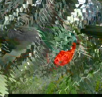 3-Day Private Adelaide to Melbourne tour - Accommodation Mt Buller