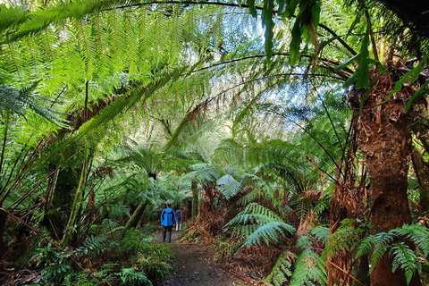 3-Day Adelaide To Melbourne Tour Including The Great Ocean Road - Accommodation Mt Buller 2