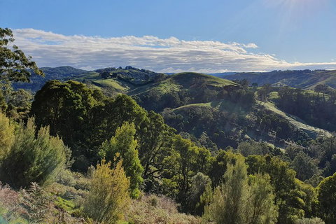 3-Day Adelaide To Melbourne Tour Including The Great Ocean Road - Accommodation Mt Buller 5