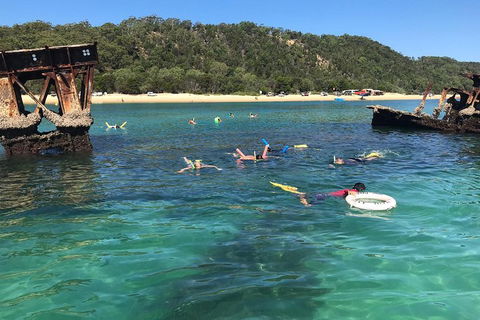 All Inclusive Dolphin And Tangalooma Wrecks Cruise - Accommodation Mt Buller 0