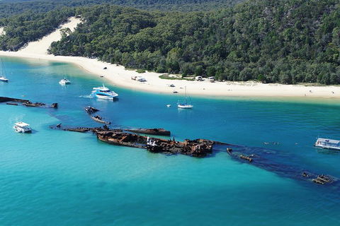 All Inclusive Dolphin And Tangalooma Wrecks Cruise - Accommodation Mt Buller 4