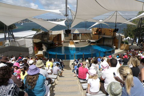Sydney Taronga Zoo General Entry Ticket - Accommodation Mt Buller 5
