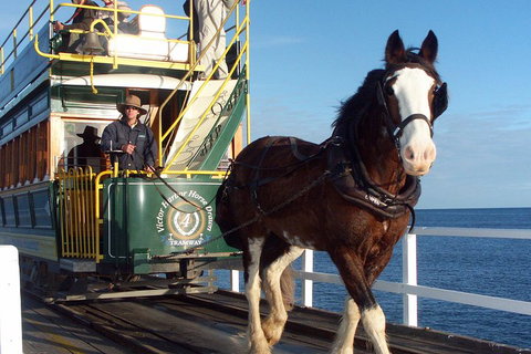 Full-Day Tour In South Australia Highlights - Accommodation Mt Buller 1
