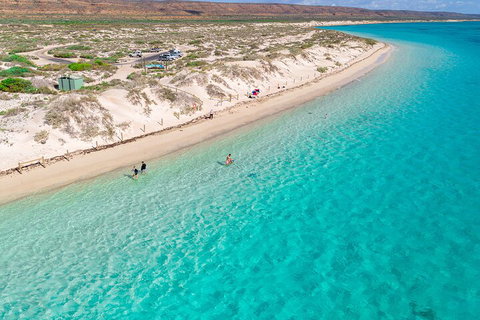 Ningaloo In A Day - Full Day Hike And Snorkel Tour With Lunch - Accommodation Mt Buller 0