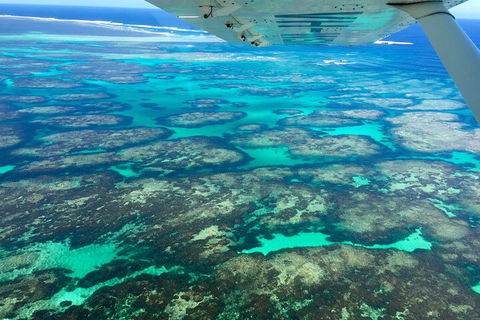 Shipwreck Special Full Day Tour Of The Abrolhos Islands - Accommodation Mt buller 1