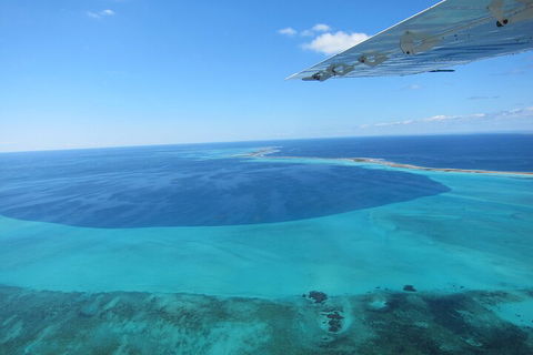 Shipwreck Special Full Day Tour Of The Abrolhos Islands - Accommodation Mt buller 2