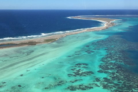 Pink Lake + Abrolhos Islands Nature Tour - Accommodation Mt Buller 2