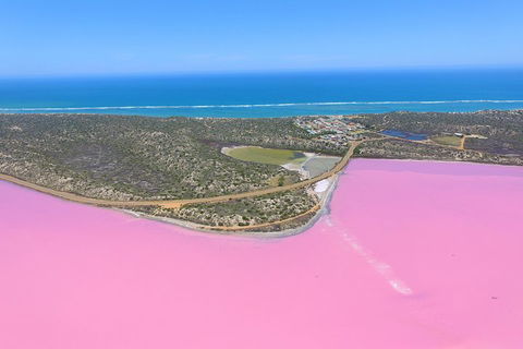 Pink Lake + Abrolhos Islands Nature Tour - Accommodation Mt Buller 4