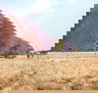 Uluru Sunrise and Guided Base Walk - Accommodation Mt Buller