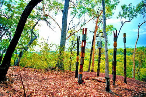 Tiwi Islands Cultural Experience From Darwin Including Ferry - Accommodation Mt Buller 3