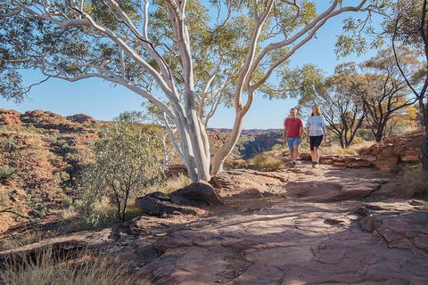 3-Day Tour From Uluru (Ayers Rock) To Alice Springs Via Kings Canyon - Accommodation Mt Buller 1