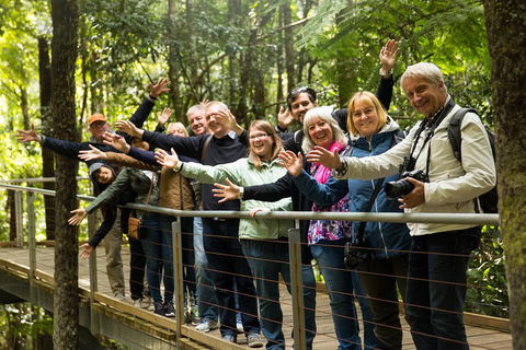 All Inclusive Blue Mountains Small-Group Day Trip From Sydney - Accommodation Mt Buller 5