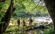 Private Daintree Mossman Gorge Exclusive Nature And Wildlife Focus - thumb 5