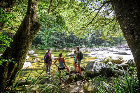 Private Daintree Mossman Gorge Exclusive Nature And Wildlife Focus - Accommodation Mt Buller 5
