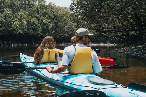 Kayak Tour In Adelaide Dolphin Sanctuary - Accommodation Mt Buller 2