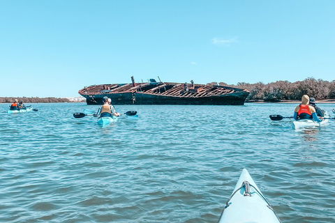 Kayak Tour In Adelaide Dolphin Sanctuary - Accommodation Mt Buller 3
