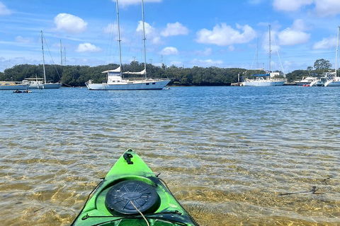 Kayak Tour In Adelaide Dolphin Sanctuary - Accommodation Mt Buller 4