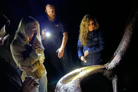Evening Rainforest & Glow Worm Experience - Accommodation Mt Buller 2