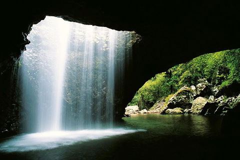 Natural Bridge & Springbrook Waterfalls Tour - Accommodation Mt Buller 0