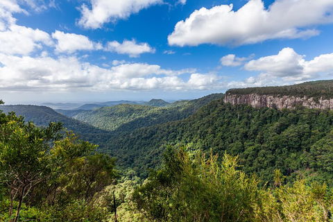 Natural Bridge & Springbrook Waterfalls Tour - Accommodation Mt Buller 1
