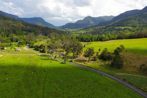 Natural Bridge & Springbrook Waterfalls Tour - Accommodation Mt Buller 2