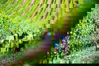 Tasmanian Wine Tour, Hobart