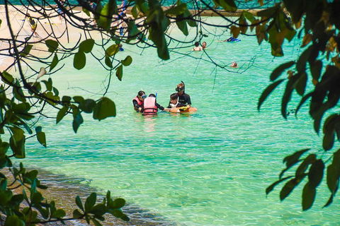 Green Island Day Trip From Cairns - Accommodation Mt Buller 2