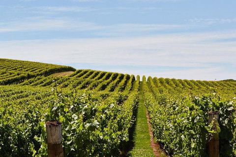 West Tamar Wine Tour - Accommodation Mt Buller 2
