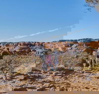 The Amazing Kings Canyon 4-Hours Walking Tour and Hike - Accommodation Mt Buller