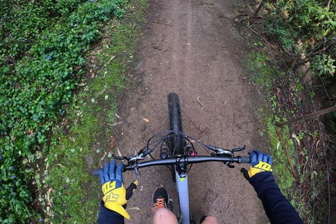 Explore Downhill Mountain In 3-Hour Bike Tour From Hobart - Accommodation Mt Buller 2