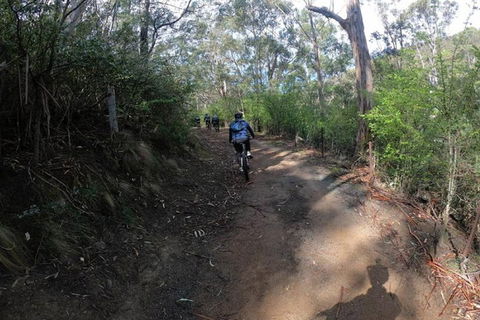 Explore Downhill Mountain In 3-Hour Bike Tour From Hobart - Accommodation Mt Buller 3
