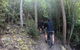 Explore Downhill Mountain In 3-Hour Bike Tour From Hobart - thumb 4