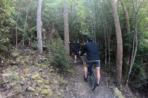 Explore Downhill Mountain In 3-Hour Bike Tour From Hobart - Accommodation Mt Buller 4
